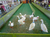 20120407_3.jpg