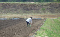 20120501_2.jpg
