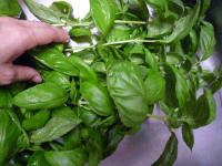 20120727.jpg