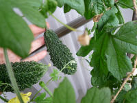 20120912.jpg