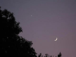 IMG_0746.JPG