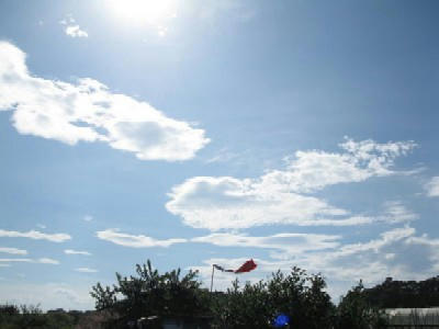 IMG_4976.JPG