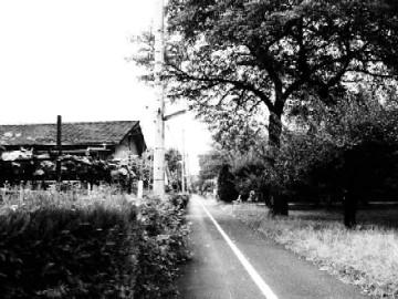P8220442.JPG