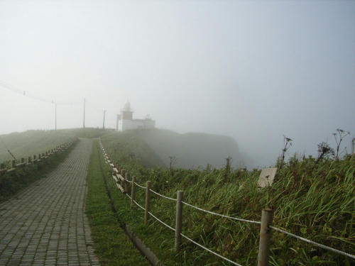 13058e81.JPG