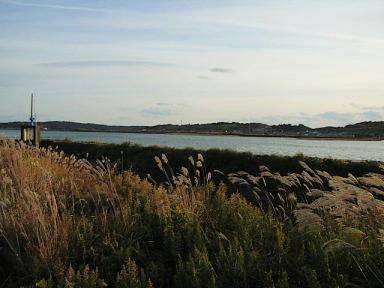 0189067f.JPG