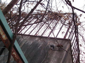 274048e1.JPG