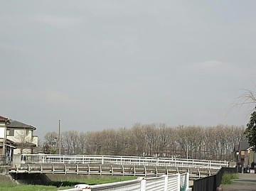 IMG_0004.JPG