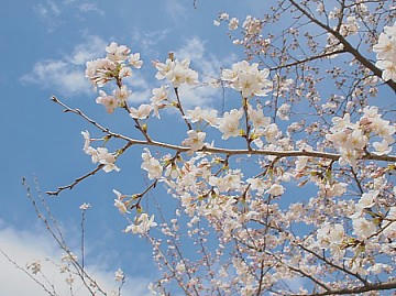 FILE0005.JPG