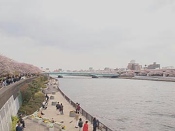 FILE0012.JPG