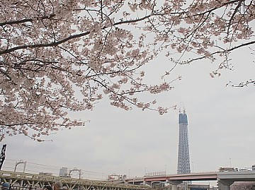FILE0011.JPG