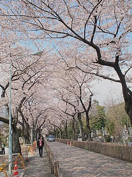 FILE0021.JPG