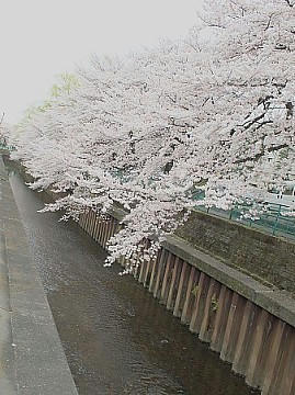 FILE0006.JPG