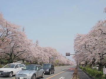8c767346.JPG