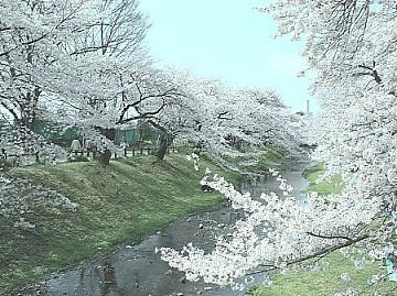 FILE0023.JPG
