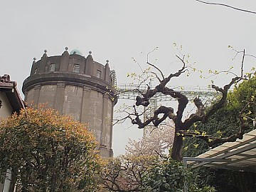 2f2b75e5.JPG