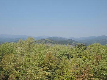 f069c77d.JPG