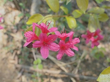 FILE0010.JPG