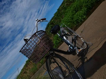 c70e9d37.JPG