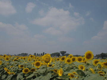 d5b41b67.JPG