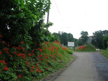 9e29f8cd.JPG