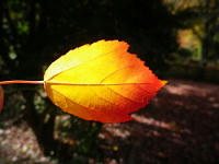 447d0370.JPG