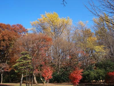 PC050318.JPG