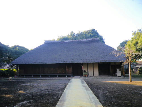 85d608b0.JPG