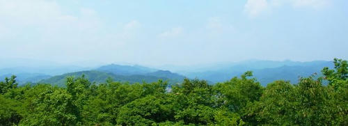 RIMG0627.JPG