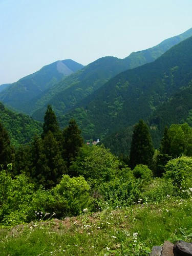 RIMG0680.JPG
