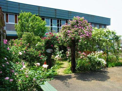 RIMG0692.JPG