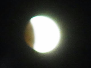 RIMG1259.JPG