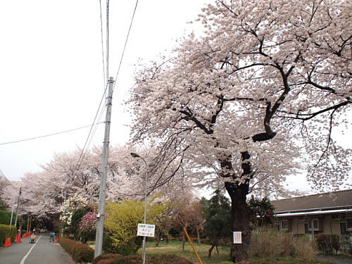 P4103275.JPG