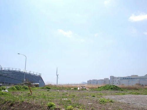 P4243441.JPG