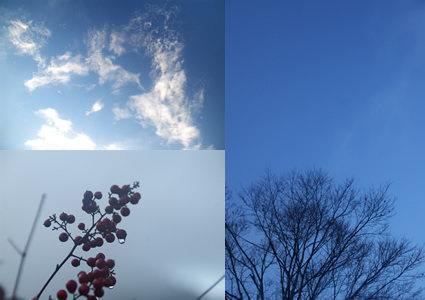 冷たい空と風に流れる雲もある。