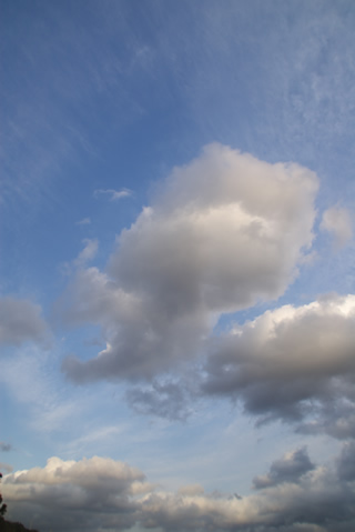 ジンベイザメっぽい雲
