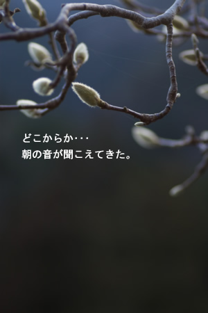 どこからか朝の音が･･･