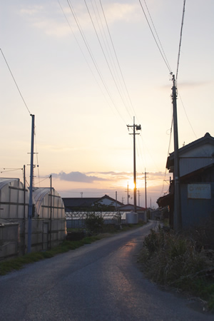 夕暮れに照れる帰り道