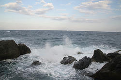 室戸岬で波飛沫
