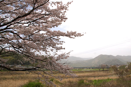 「大樽の滝」のある越智町の風景