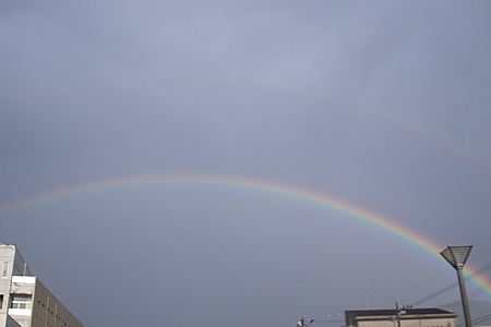 レインボー