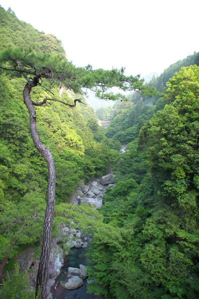 「雨竜の滝」途中の展望台より