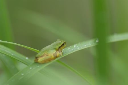 考え中・考え事・何も考えてない？