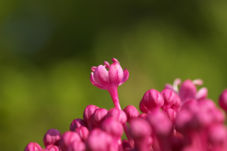 「うにゅ」っと。