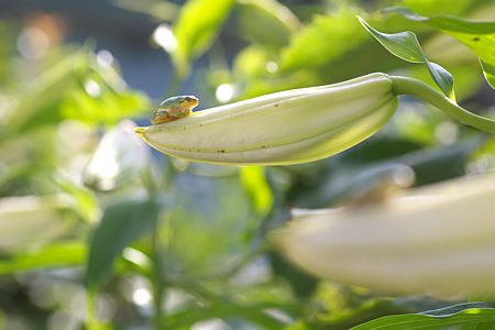あっちでもこっちでも･･･