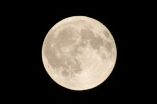 月食見逃してフルムーン