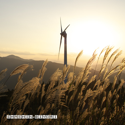 秋の夕暮れと風車