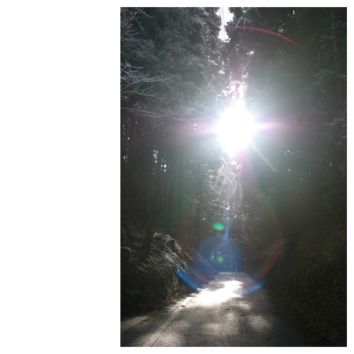 光、差し込んで･･･あけおめです♪