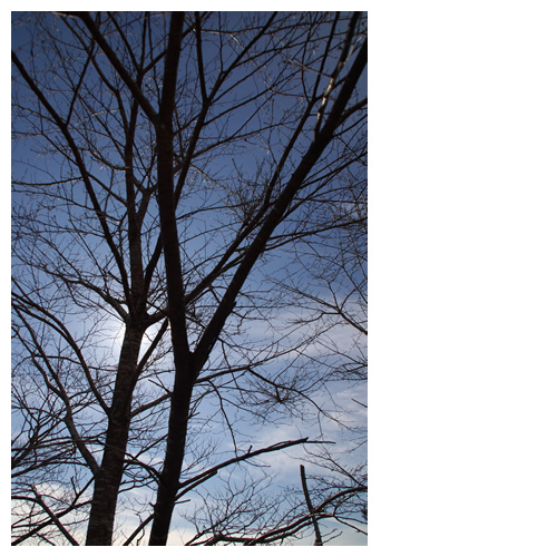 強い光に照らされて･･･