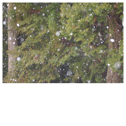 積もるよ積もる、白い雪。