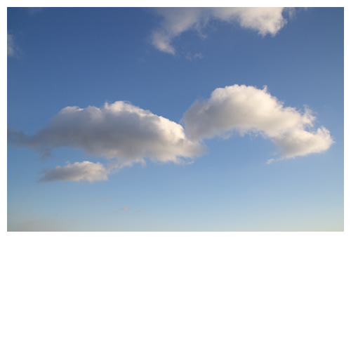 空の水族館『イルカの親子』